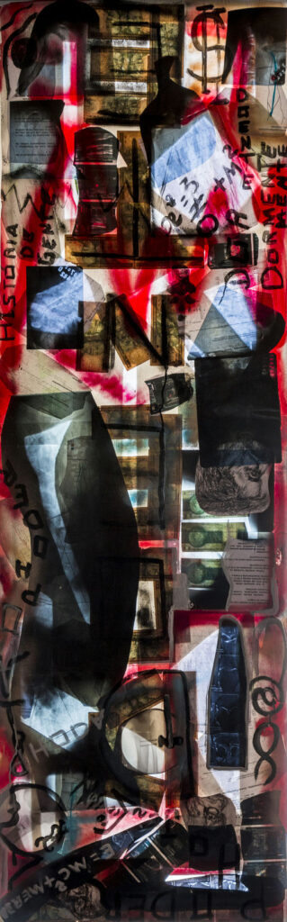 sem título, 2015 Série TransAparente lápis de cor, nanquim e colagem de chapas de RX sobre plástico polionda e backlight 132 x 65 cm